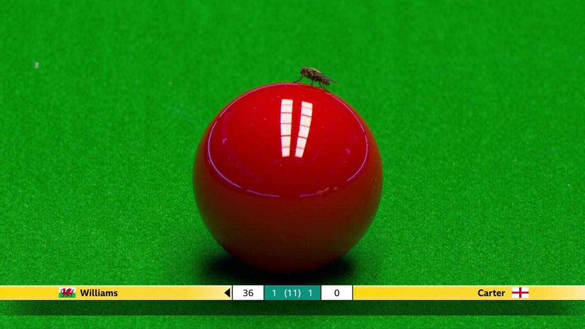 Masters snooker 2024: Ali Carter edges Mark Williams to make quarter ...