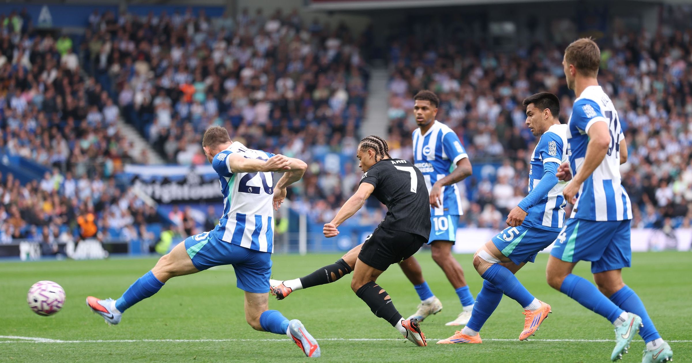 Spurs fight back against Brighton as Leeds heap more misery on Wolves ...