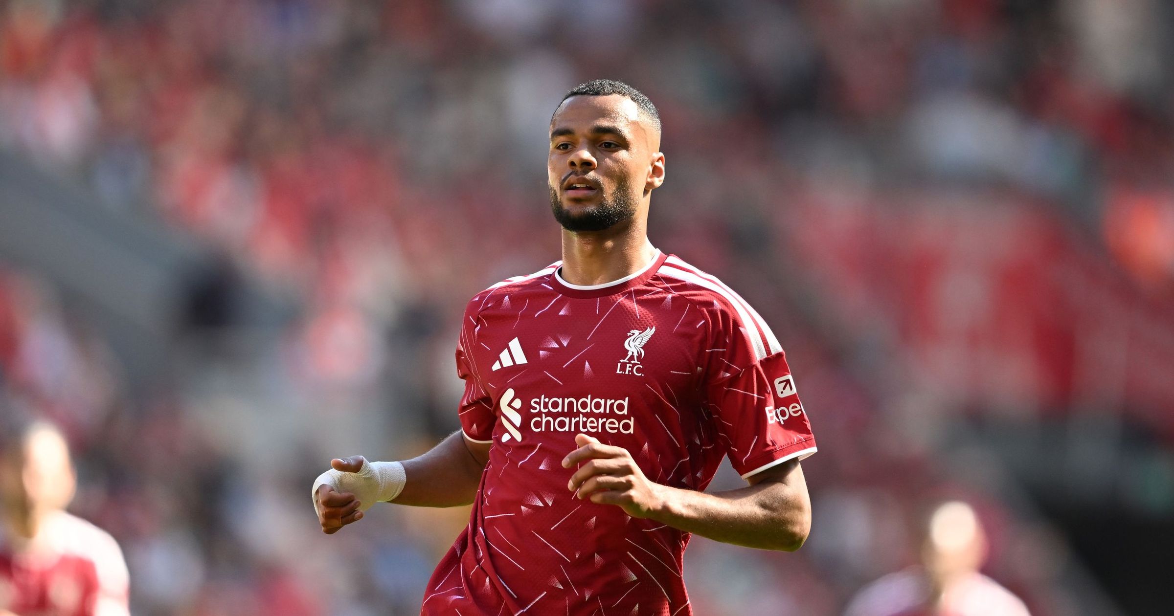 Man City want Gakpo, Man Utd still hopeful of Lewis-Skelly deal – Paper Round