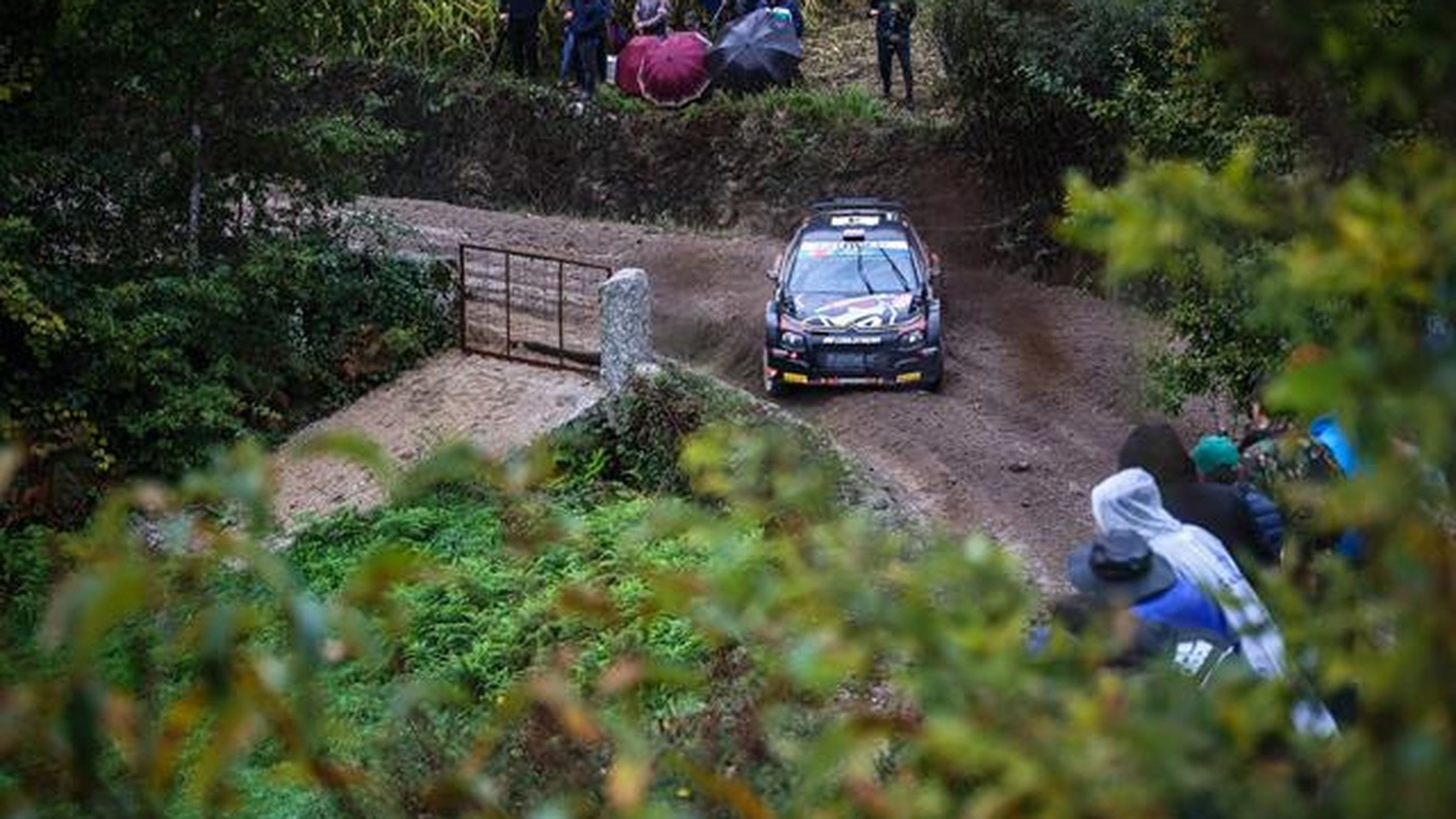 ERC countdown continues as Fafe timings are revealed - TNT Sports