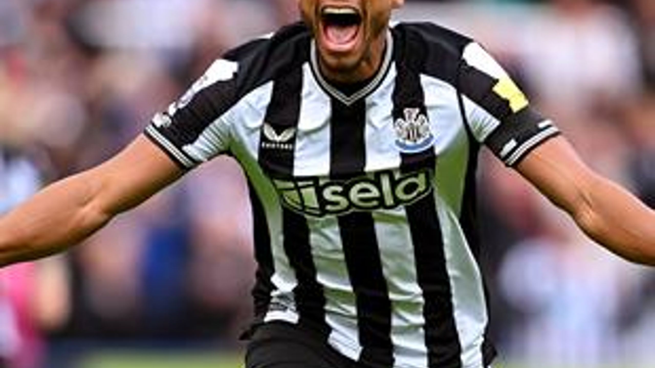 Newcastle United 4-0 Crystal Palace: Magpies cruise to victory as ...