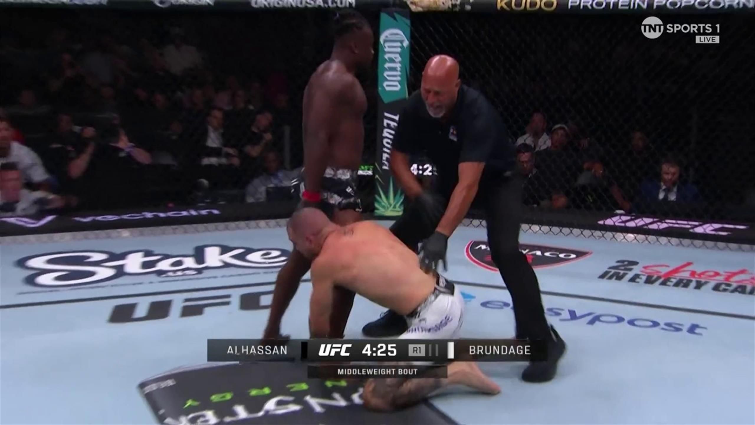 Abdul Razak Alhassan vs. Cody Brundage stopped after 30 seconds at UFC ...