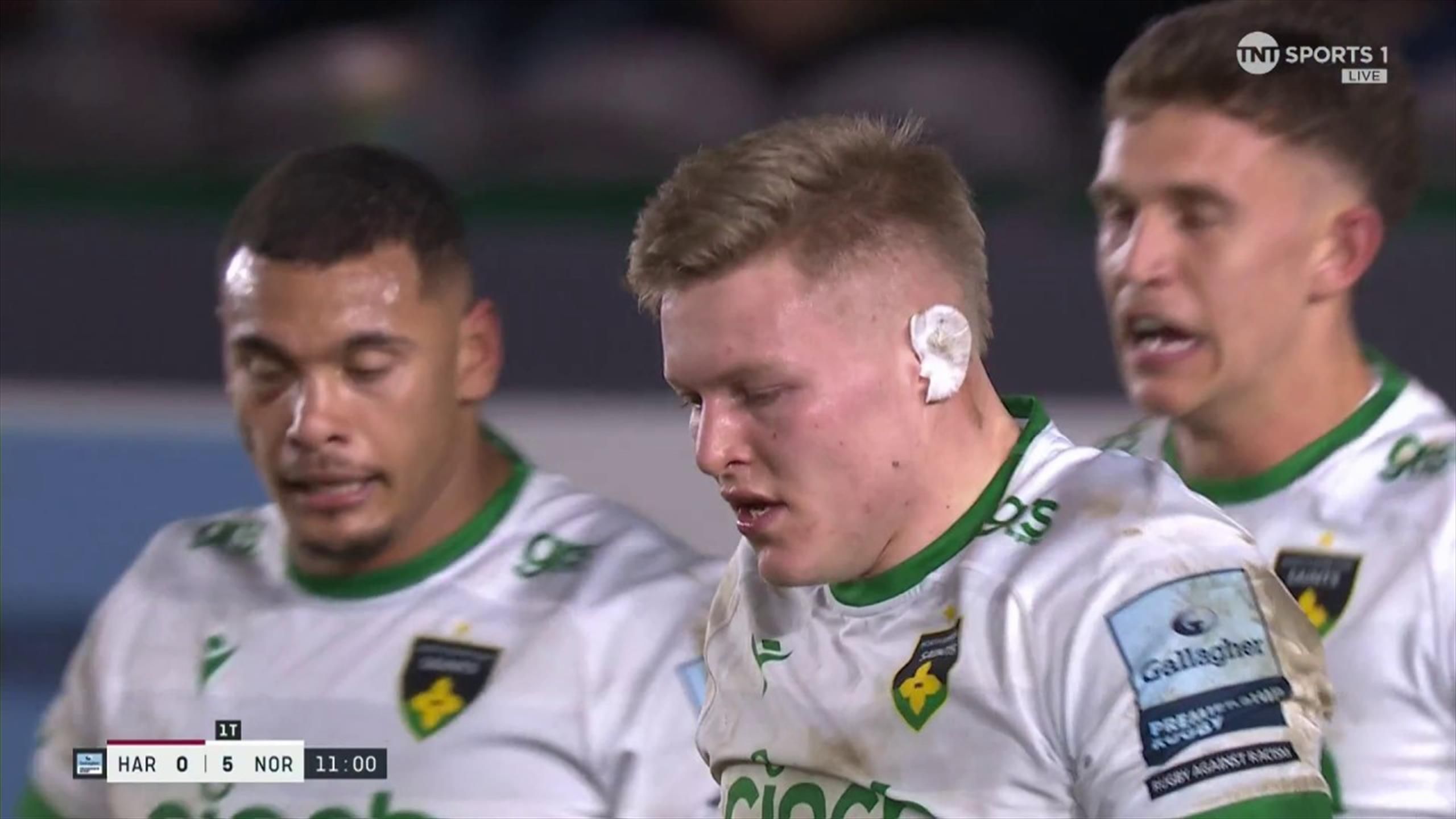 Harlequins v Northampton: Tom Pearson finishes off a beautiful Saints ...