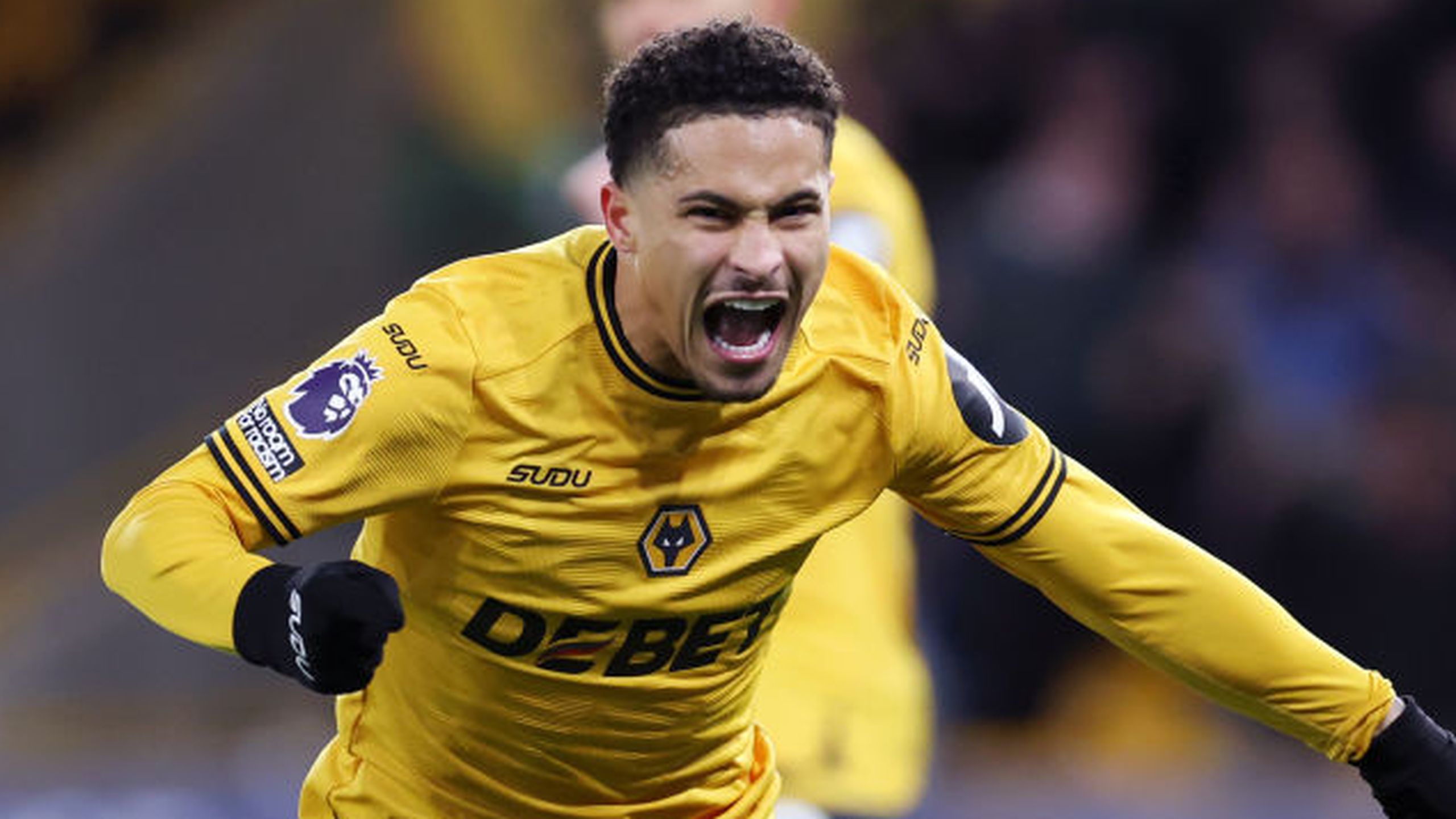 Wolves vs Everton - A Crucial Premier League Showdown You Cant Miss