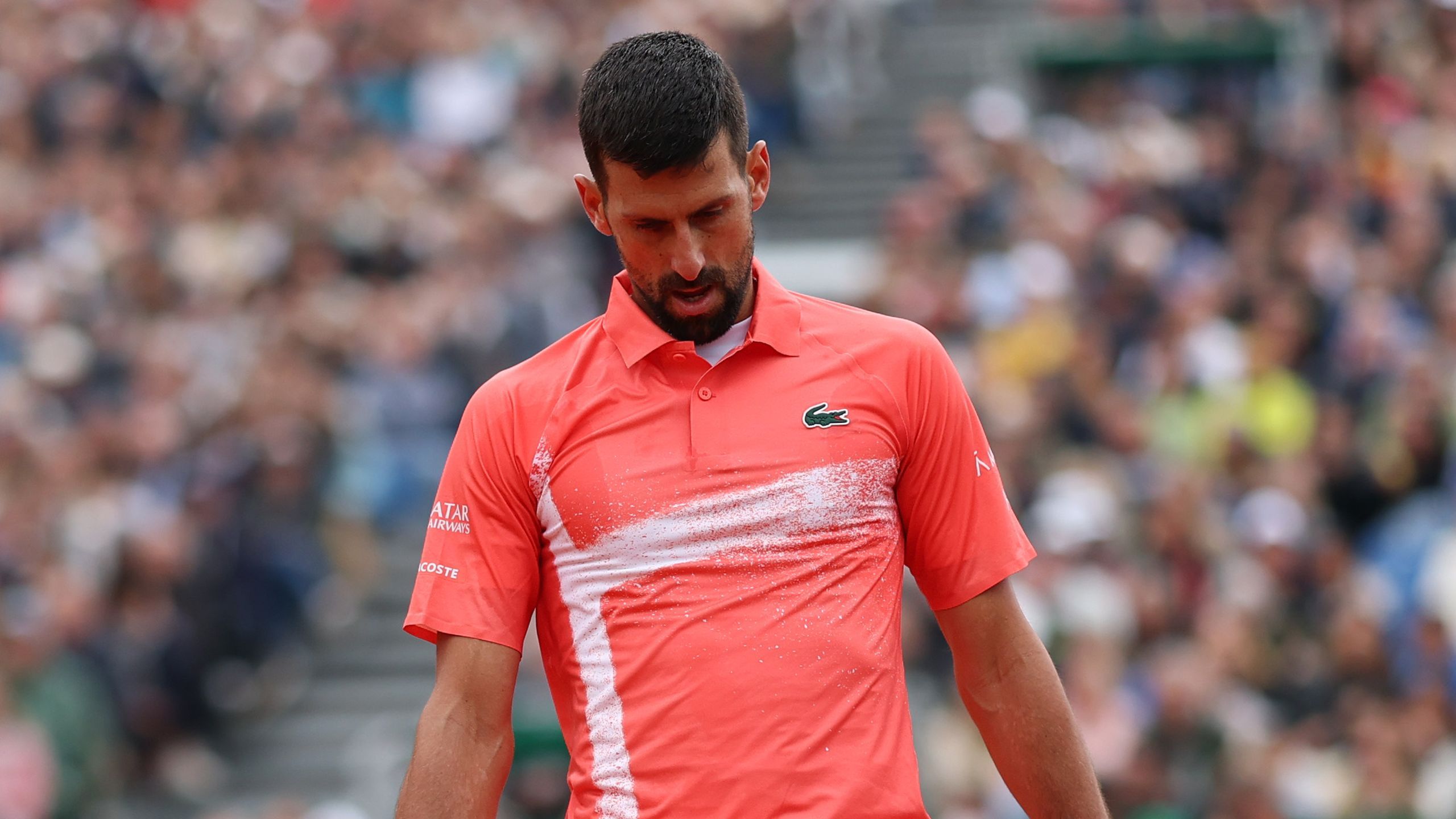 Novak Djokovic apologises to crowd following 'horrible' second-round exit  to Alejandro Tabilo at Monte Carlo Masters - TNT Sports