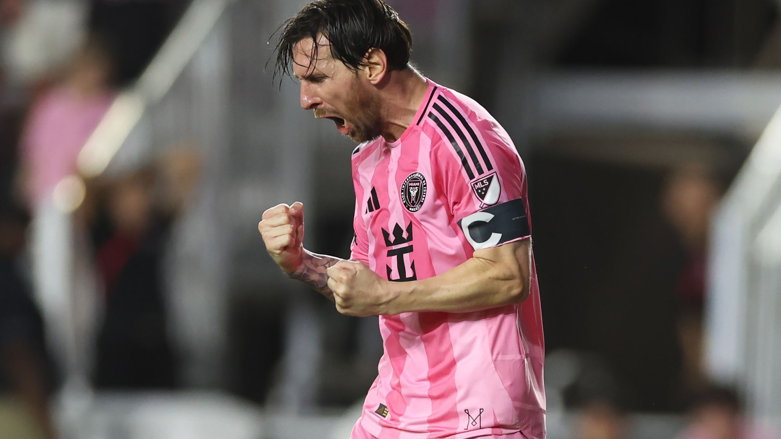 image-4c62988c-acae-4a36-86e8-