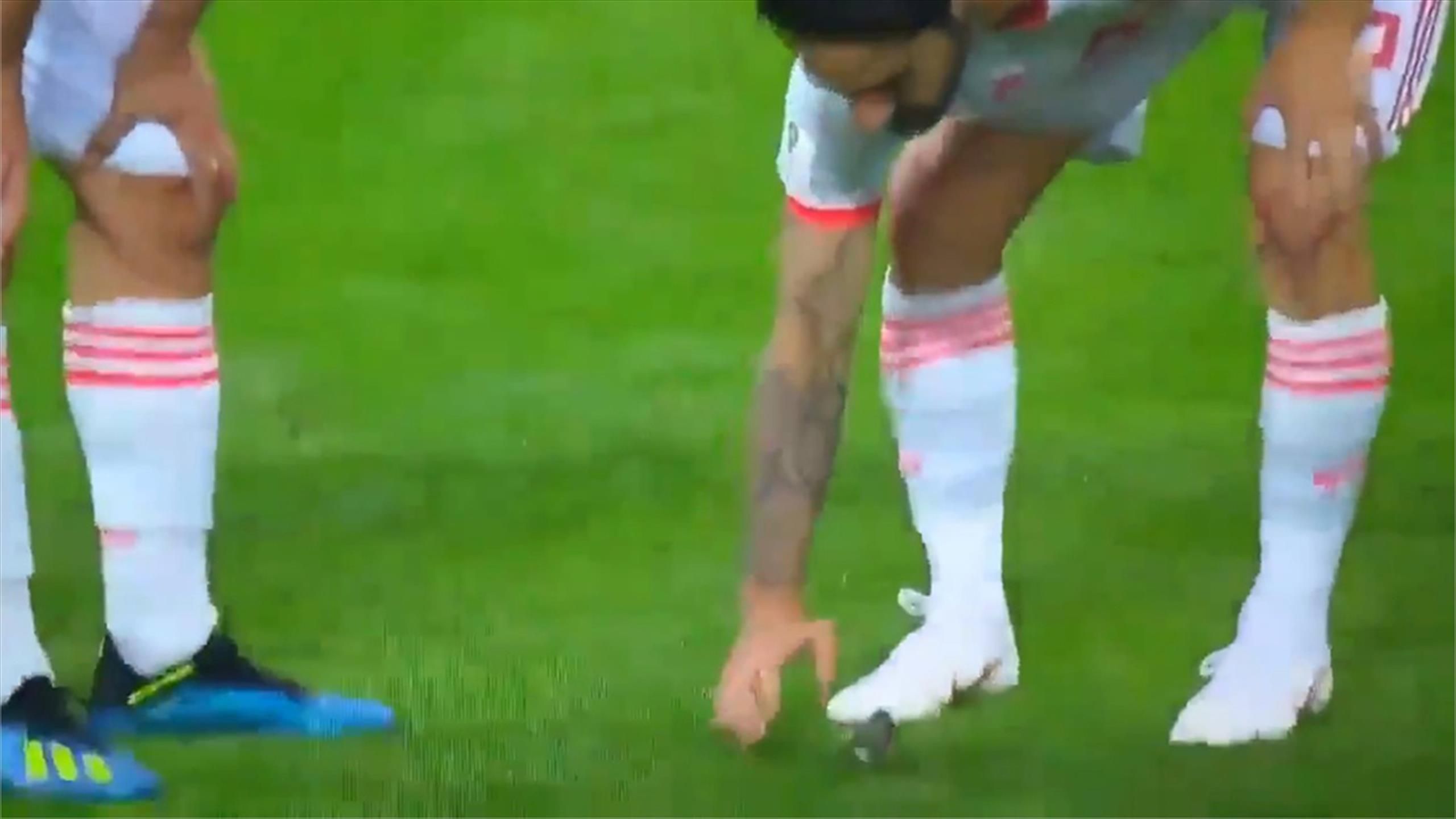 ‘Beautiful!’ – Gerard Pique and Isco ‘save little bird from getting ...