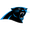 Carolina Panthers