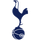 Tottenham Hotspur