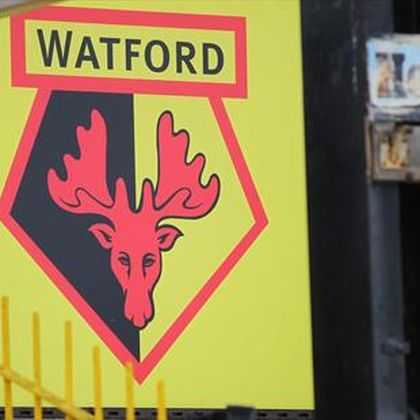 Watford cancel Qatar friendly after supporter backlash