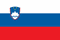 Slovenia U-17 logo