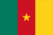 Cameroon U-17 logo