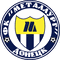 Metalurh Donetsk logo