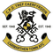 Carmarthen Town logo