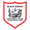 Black Rhinos logo