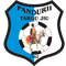 Pandurii Târgu-Jiu logo