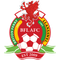 Briton Ferry Llansawel logo