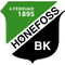 Hønefoss BK logo