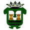 CD Tedeón logo