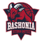 Club Deportivo Baskonia logo