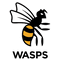 Wasps logo