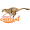 Toyota Cheetahs logo