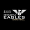 Seriös Group Newcastle Eagles logo