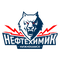 Neftekhimik Nizhnekamsk logo