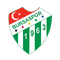 Bursaspor Info Yatirim logo