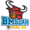 Arged BM Stal Ostrów Wielkopolski logo