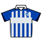 Brighton & Hove Albion jersey