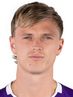 A. Gudmundsson